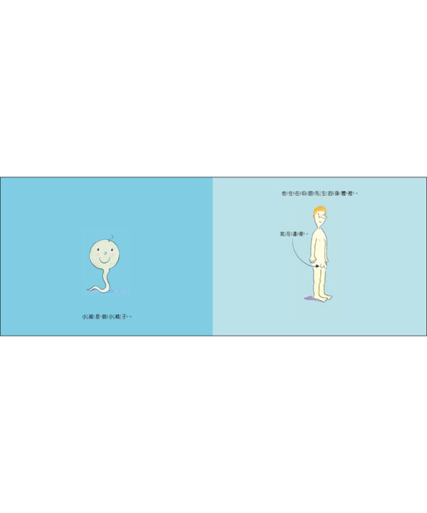 小精子的大冒險