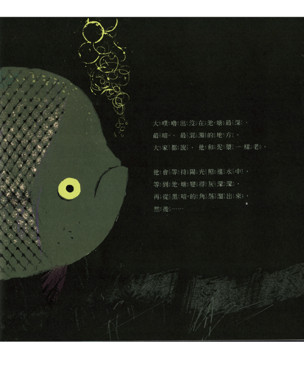 小蝌-Tad