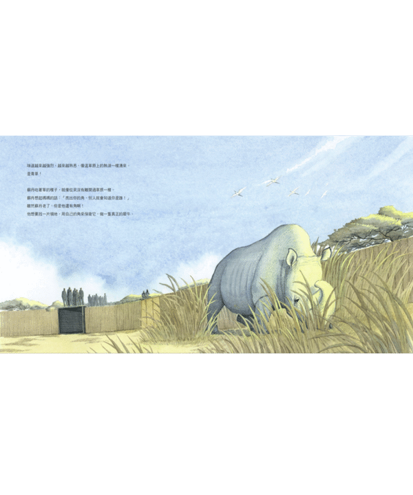 【第七屆豐子愷兒童圖畫書獎】蘇丹的犀角