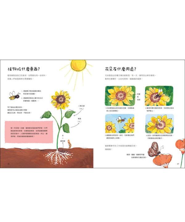 地球大書：關於地球，有問必答