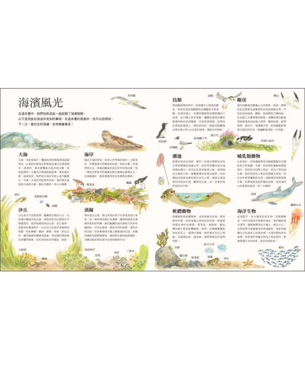 老鼠的海濱假期