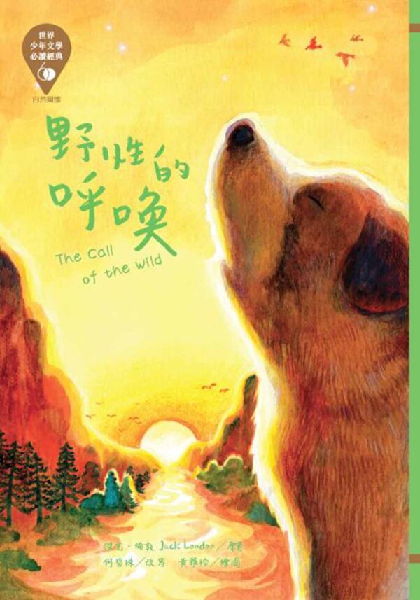 世界少年文學必讀經典60-自然關懷精選(6冊)