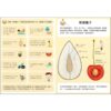 神奇的種子