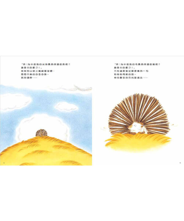 小刺蝟的煩惱