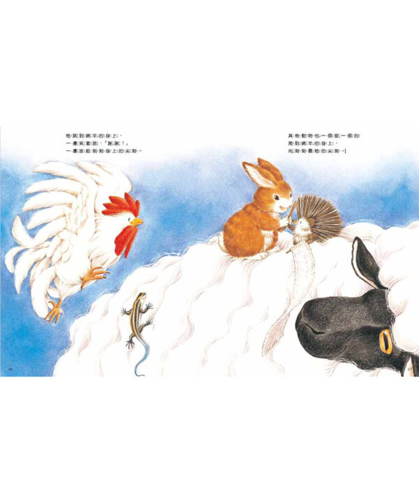 小刺蝟的煩惱