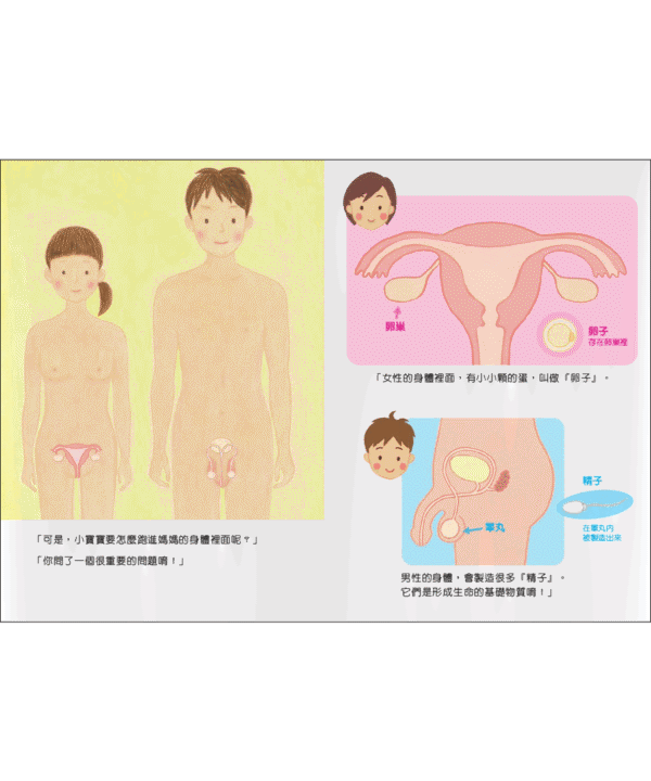 月經的故事・生命的起源