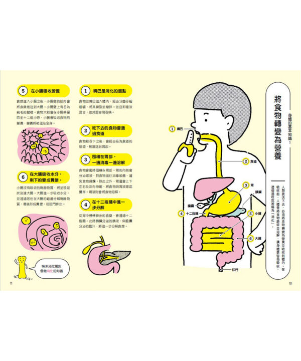 又驚又笑的人體祕密：為什麼看梅乾會流口水？